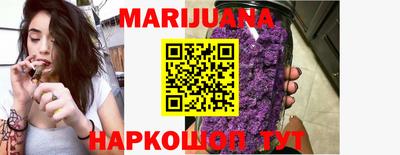 сатива Кунгур