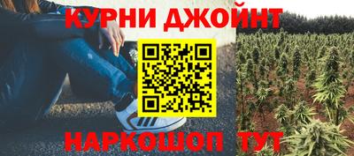 сатива Кунгур