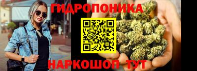 сатива Кунгур